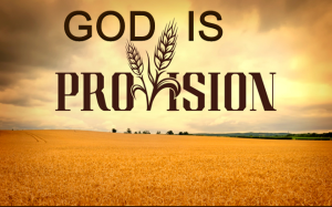 PROVISION